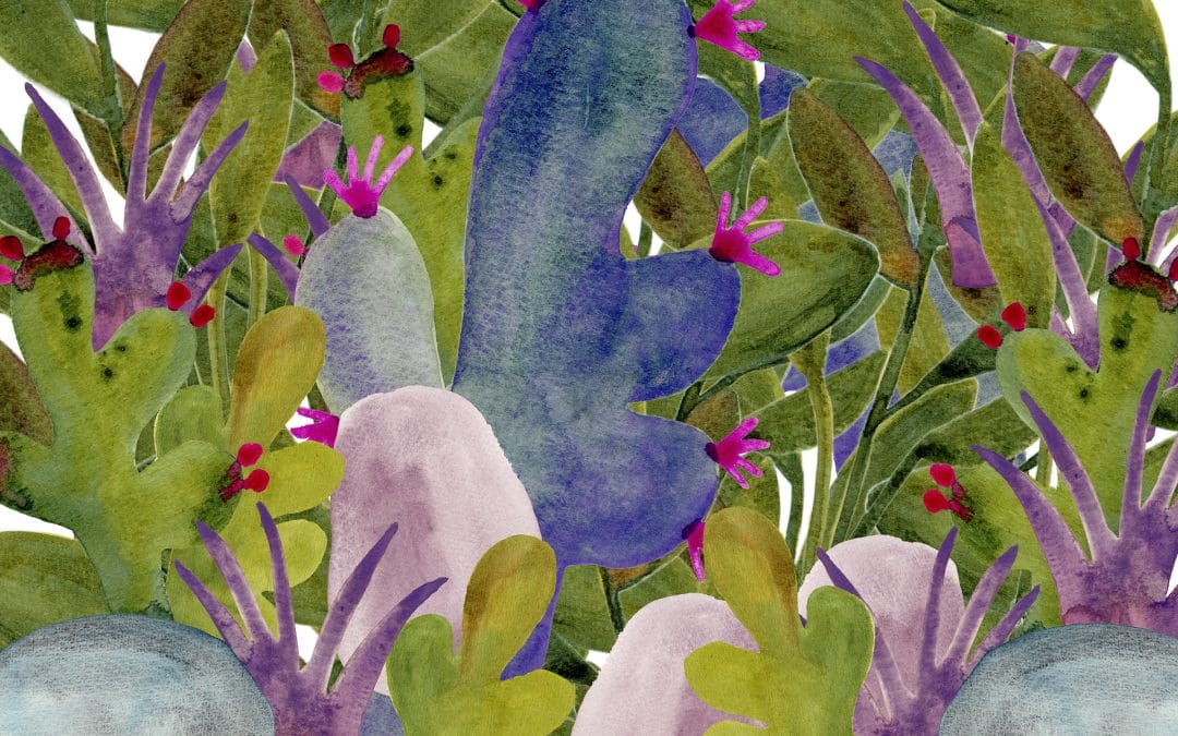 Alla scoperta delle piante del Giardino delle Rose con il nostro giardinierie esperto