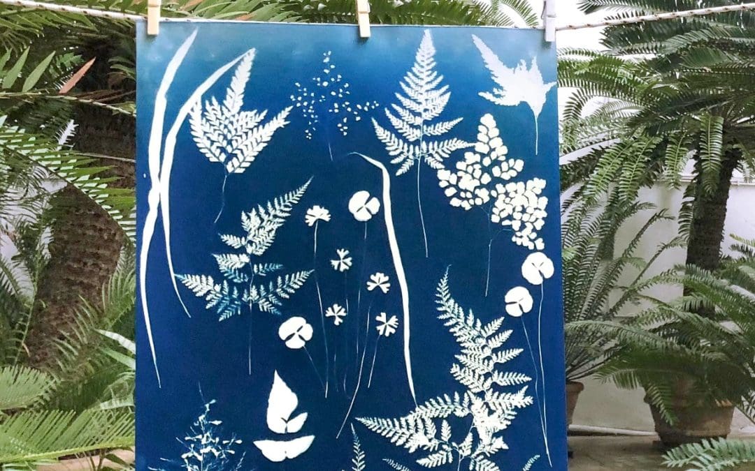 NEL GIARDINO BLU (Corso di CIANOTIPIA) a cura di Susanna Stigler e Leonardo Pellegatta