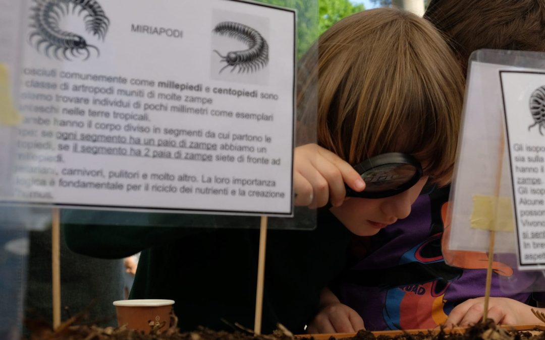 Ortolandia “Laboratorio di Microsafari nella lettiera del bosco” | 1° Turno