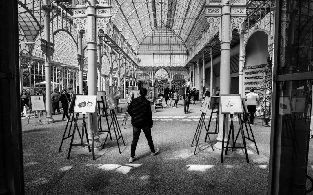 “Costellazioni Botaniche” inaugurazione dell’esposizione artistica all’interno del Tepidario Roster