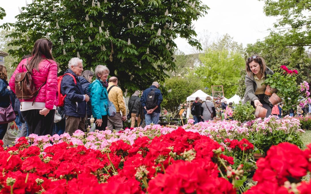 “Swap Plant!” – Un evento di comunità per scambiare piante, consigli e buone pratiche